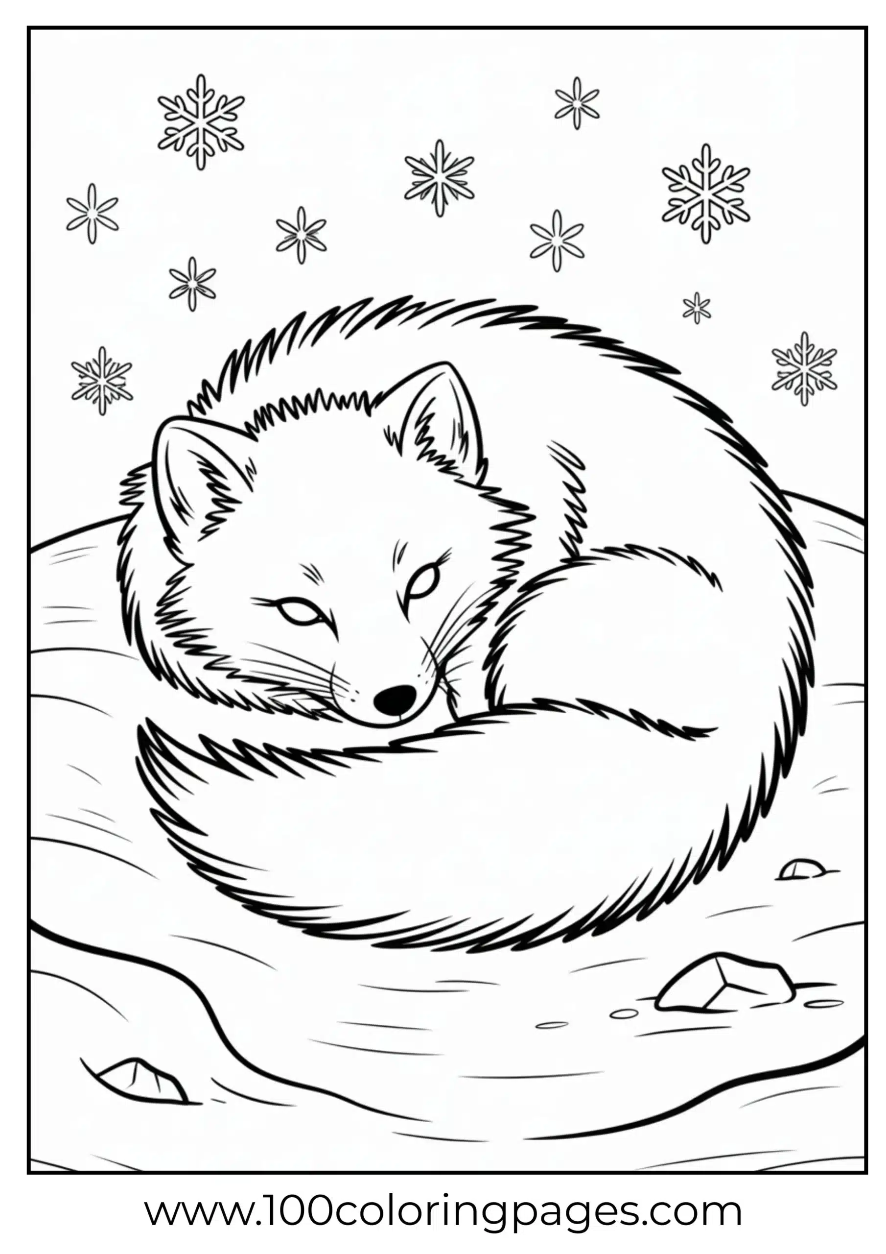 Arctic fox curled up in snow