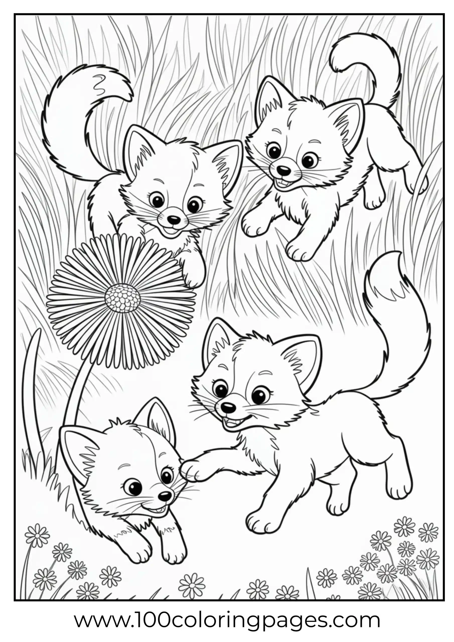 Young foxes hiding in tall grass