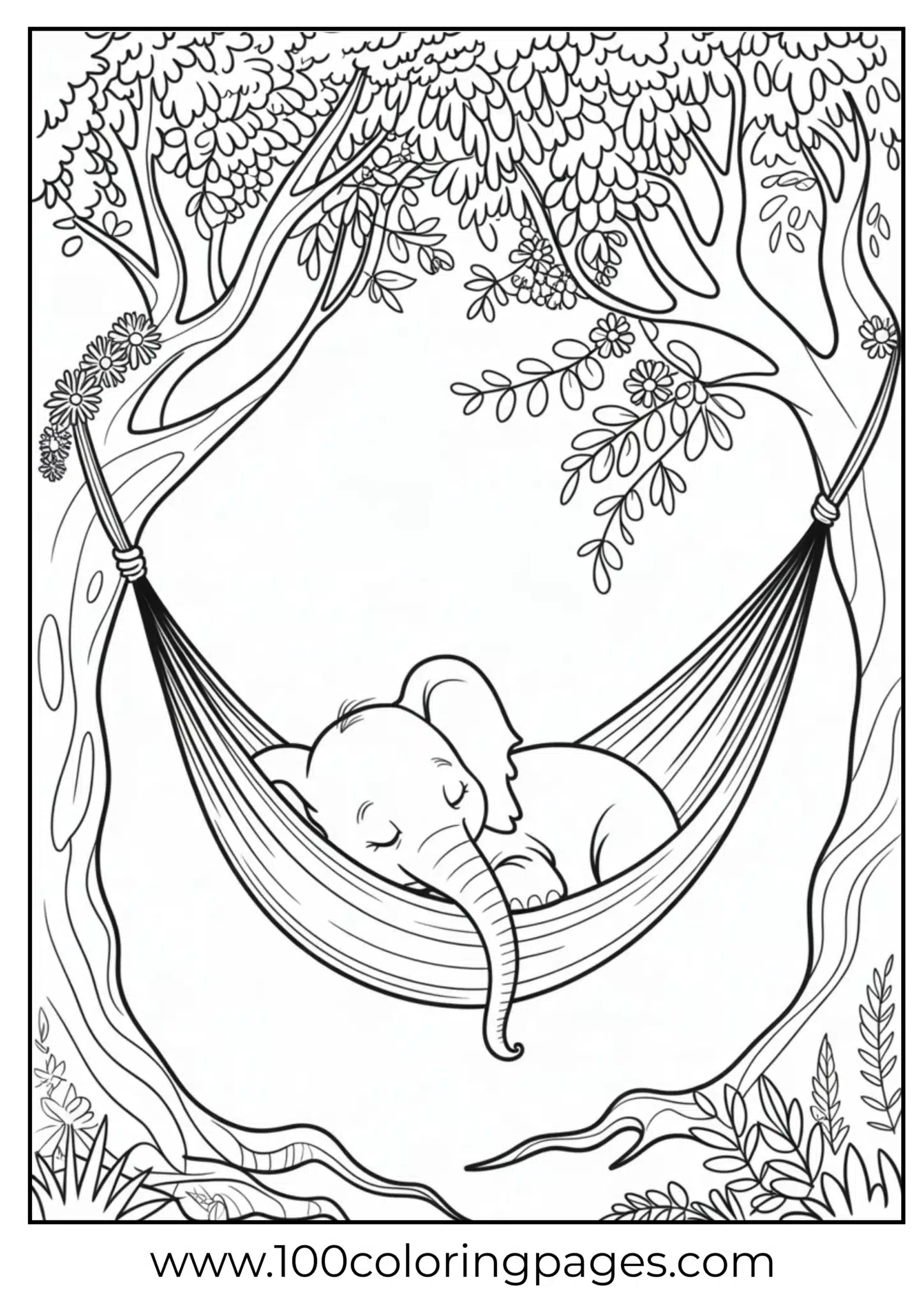 elephant napping in hammock
