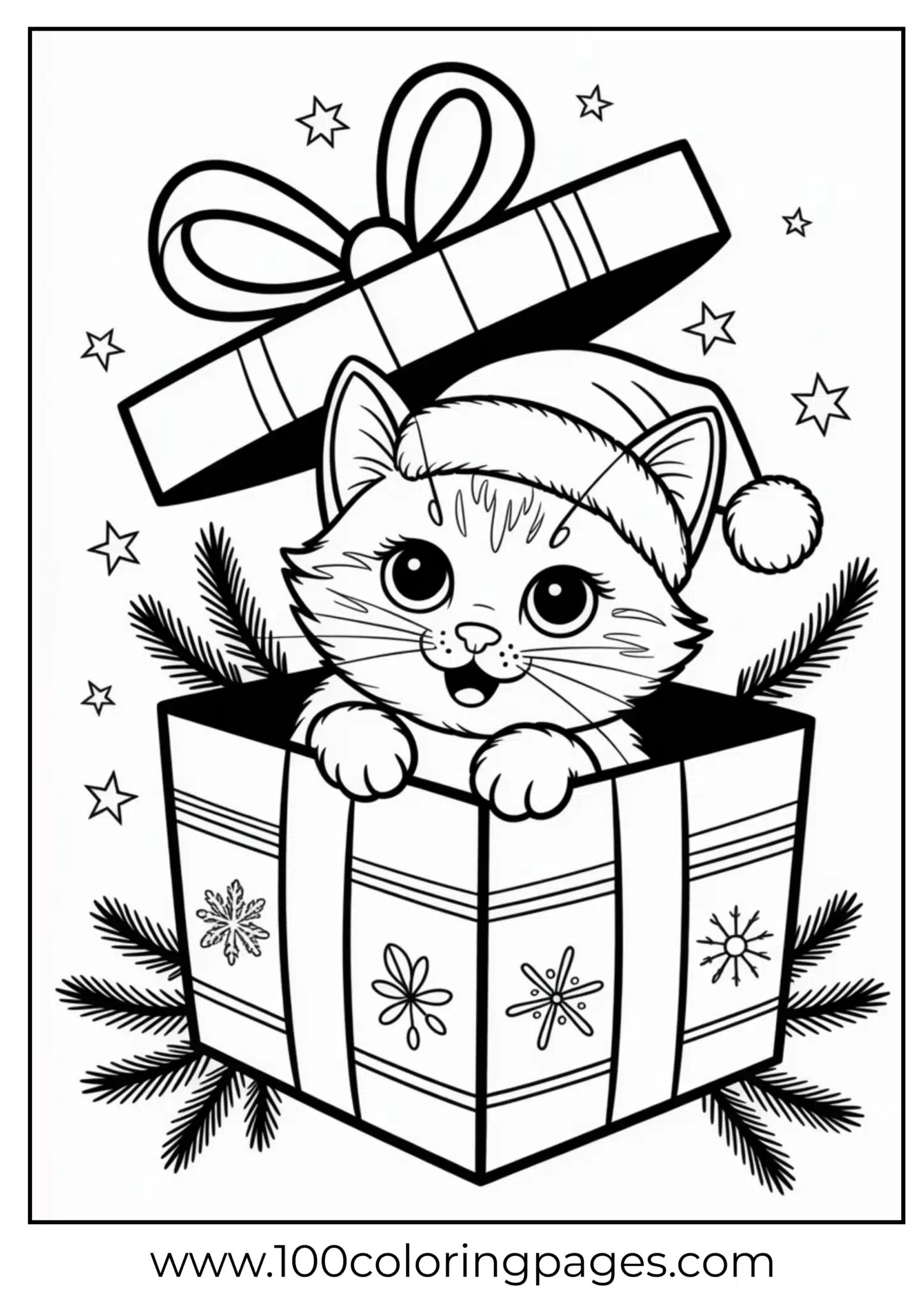 A cat in a Christmas present box