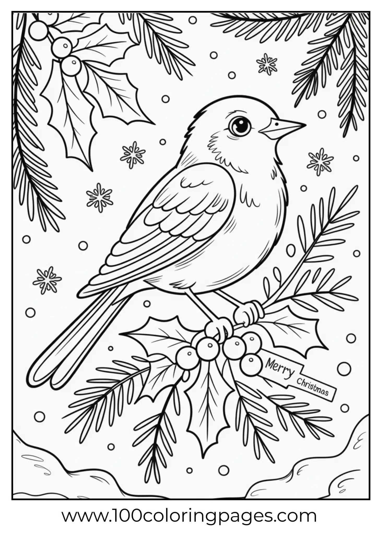 A bird on holly branch during Christmas