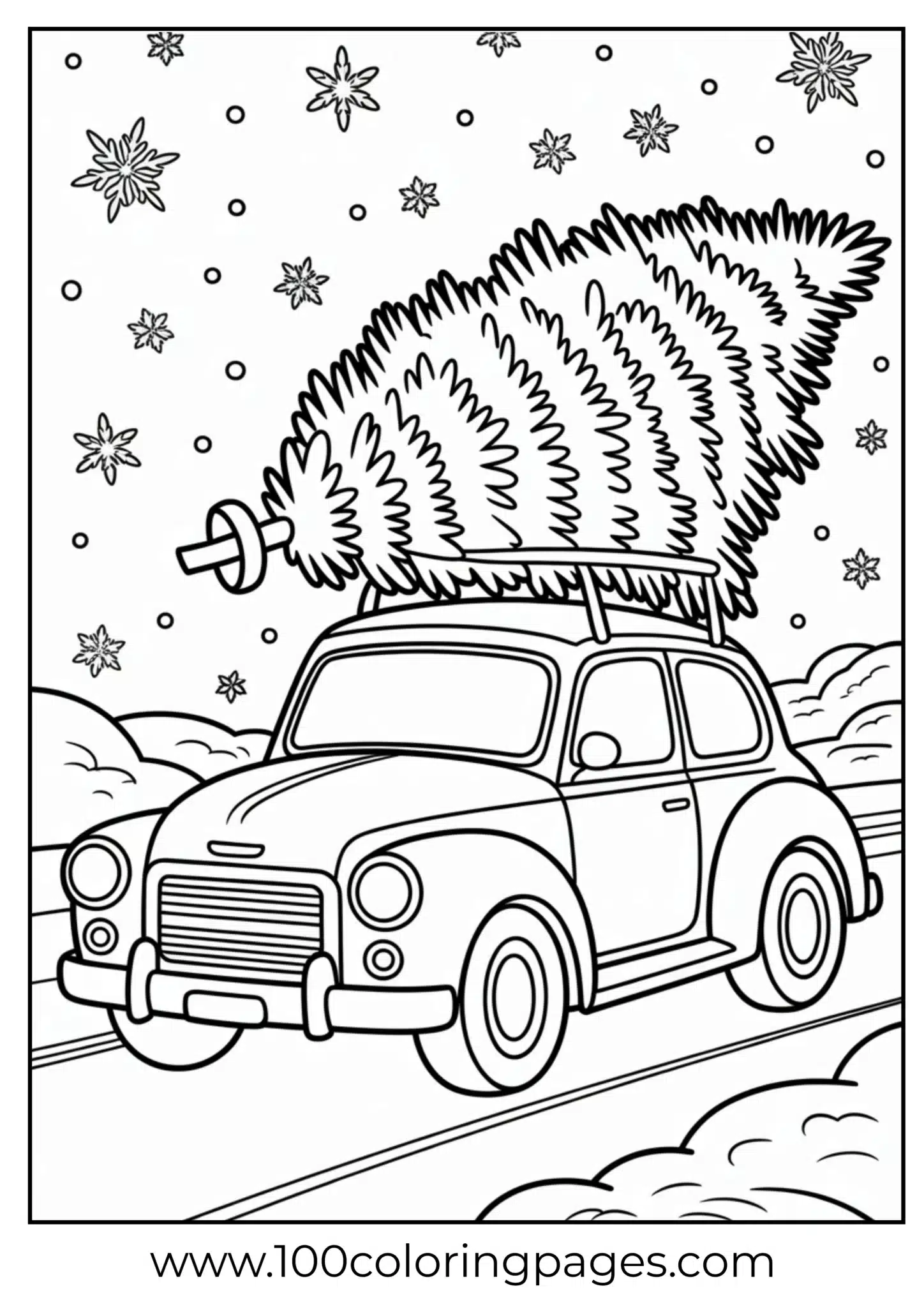 A car carrying Christmas tree home