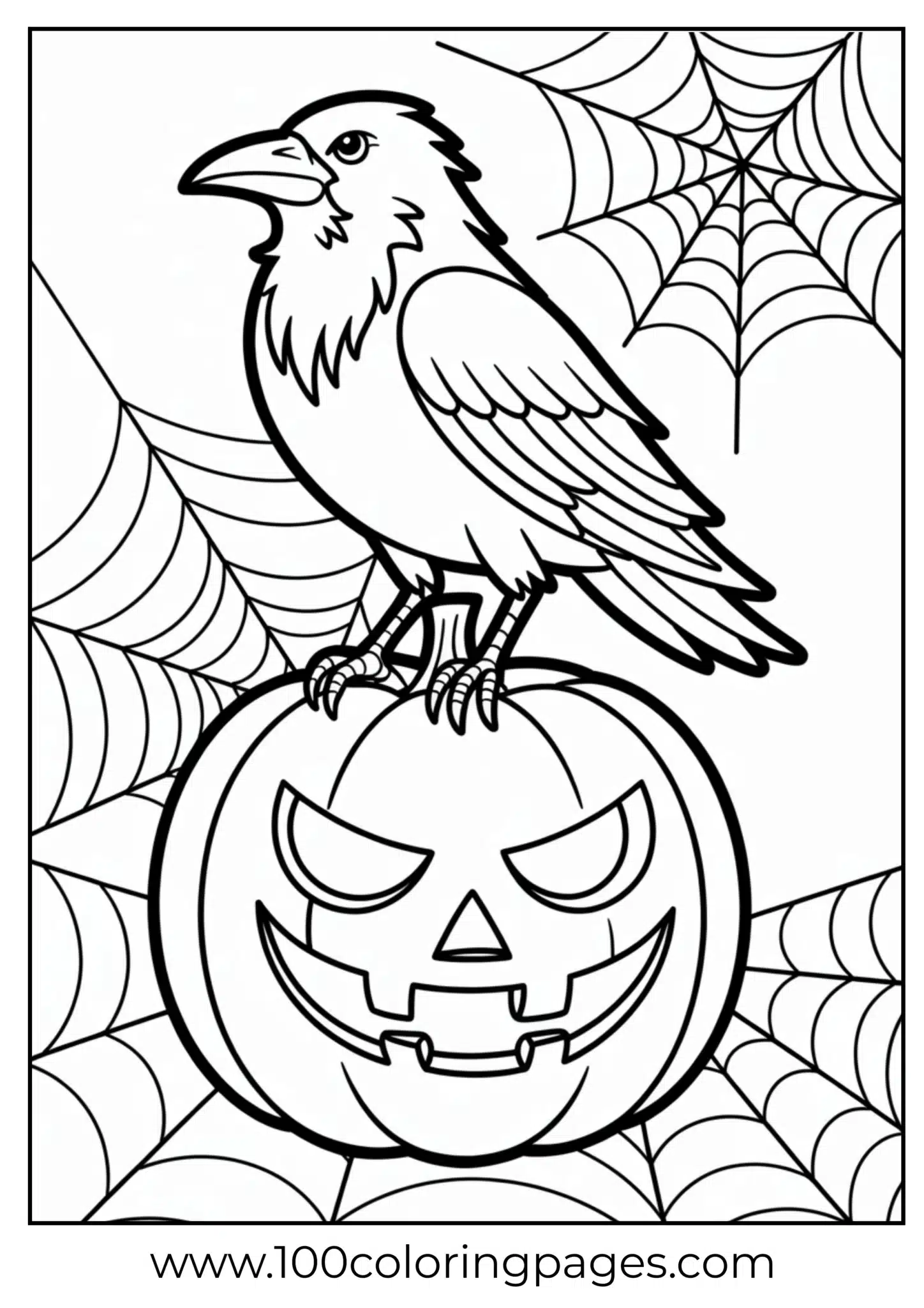 A raven on pumpkin with webs on Halloween
