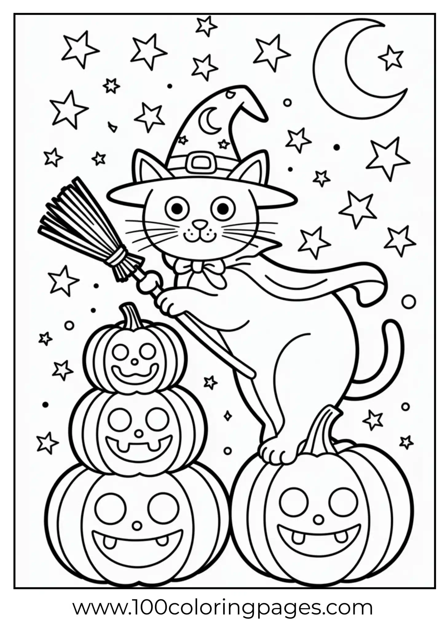 A cat in witch costume next to pumpkins