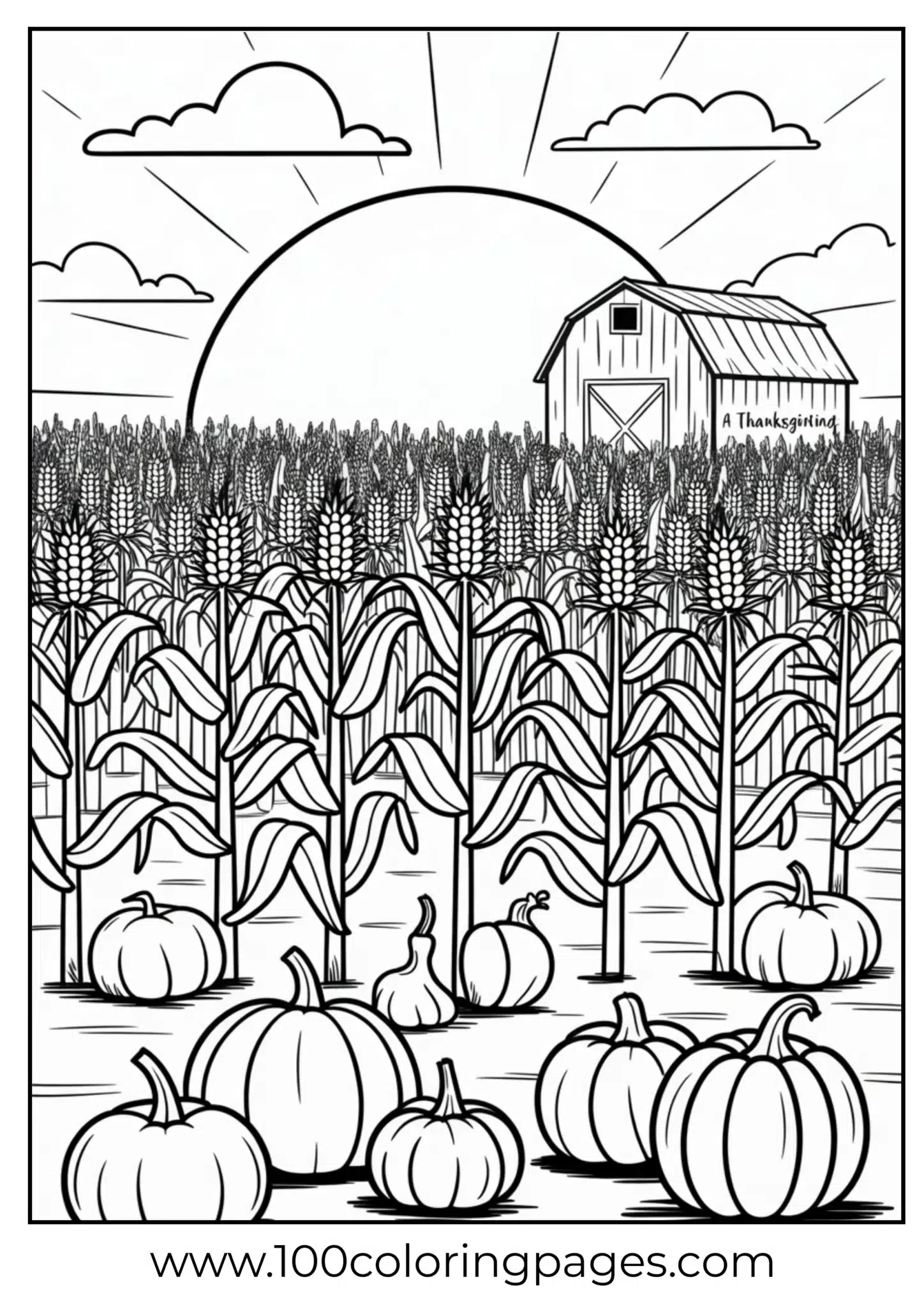 A cornfield sunset on Thanksgiving