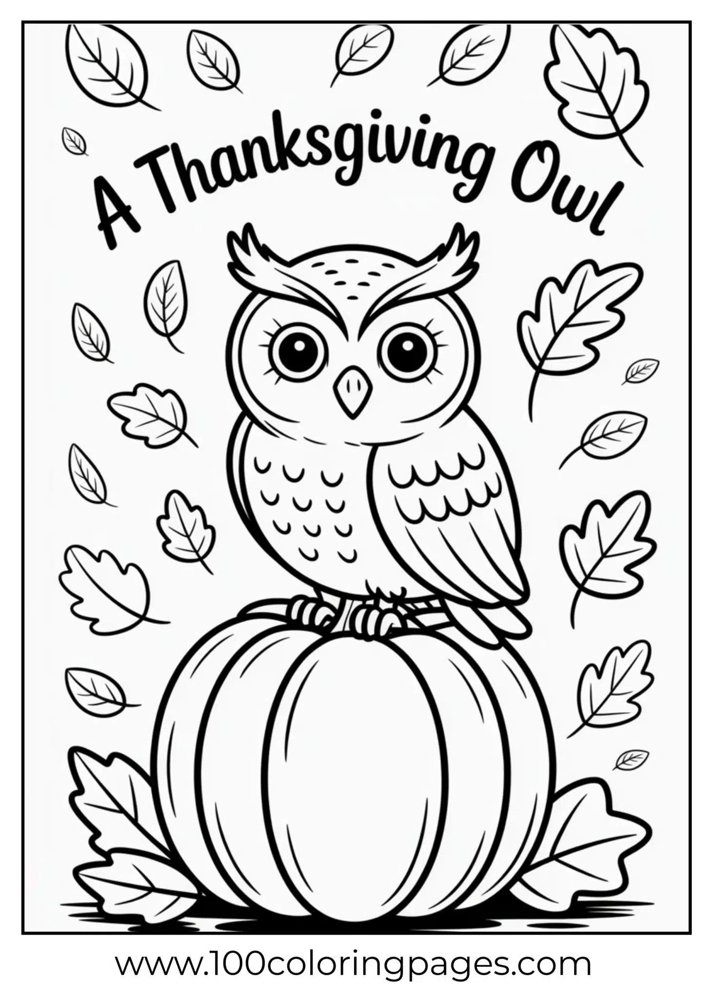 An owl on pumpkin at Thanksgiving