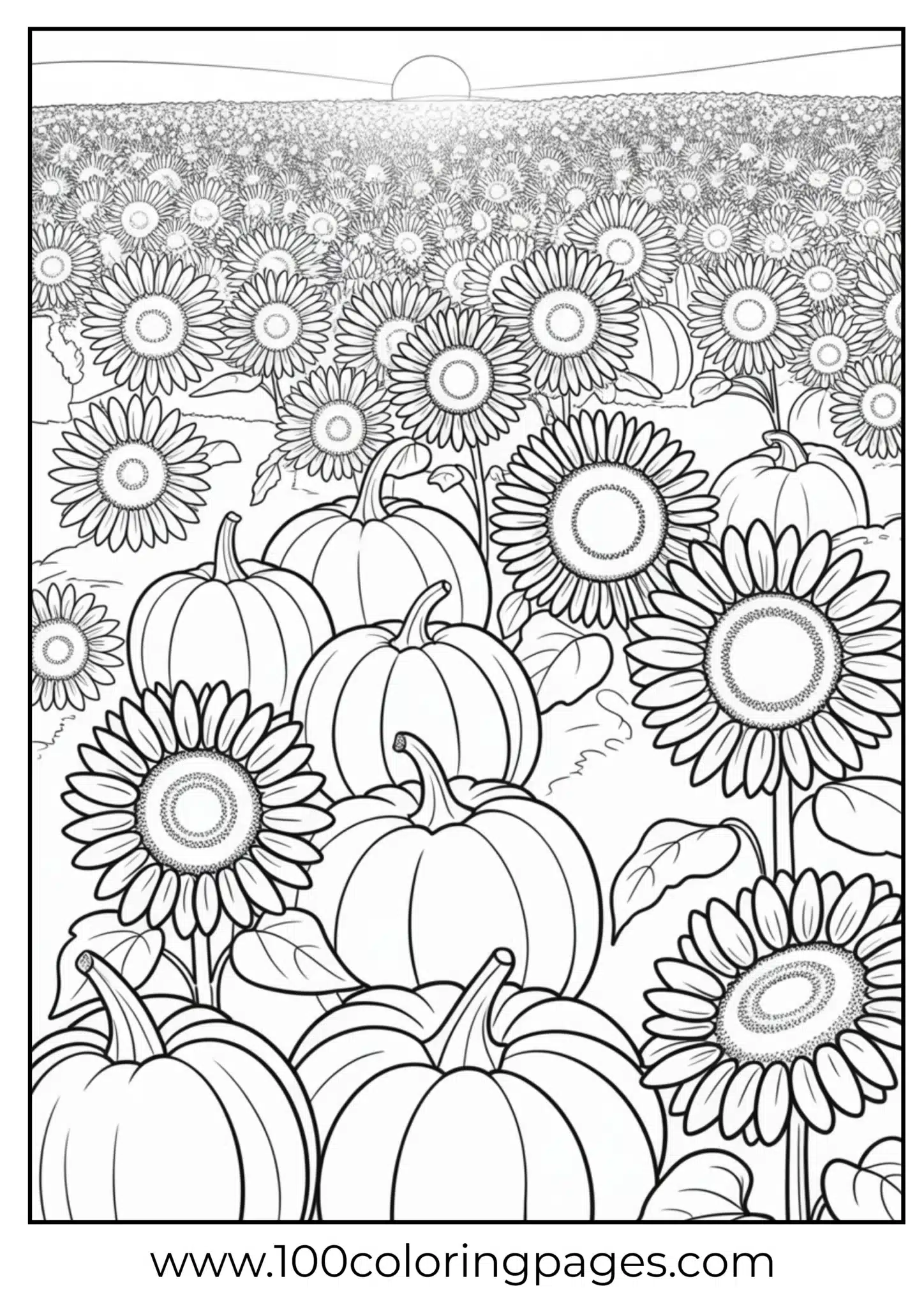 A sunflower field decorated for Thanksgiving